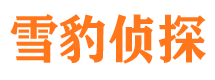 天峻市侦探调查公司